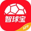 智球宝