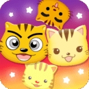 星猫广场app